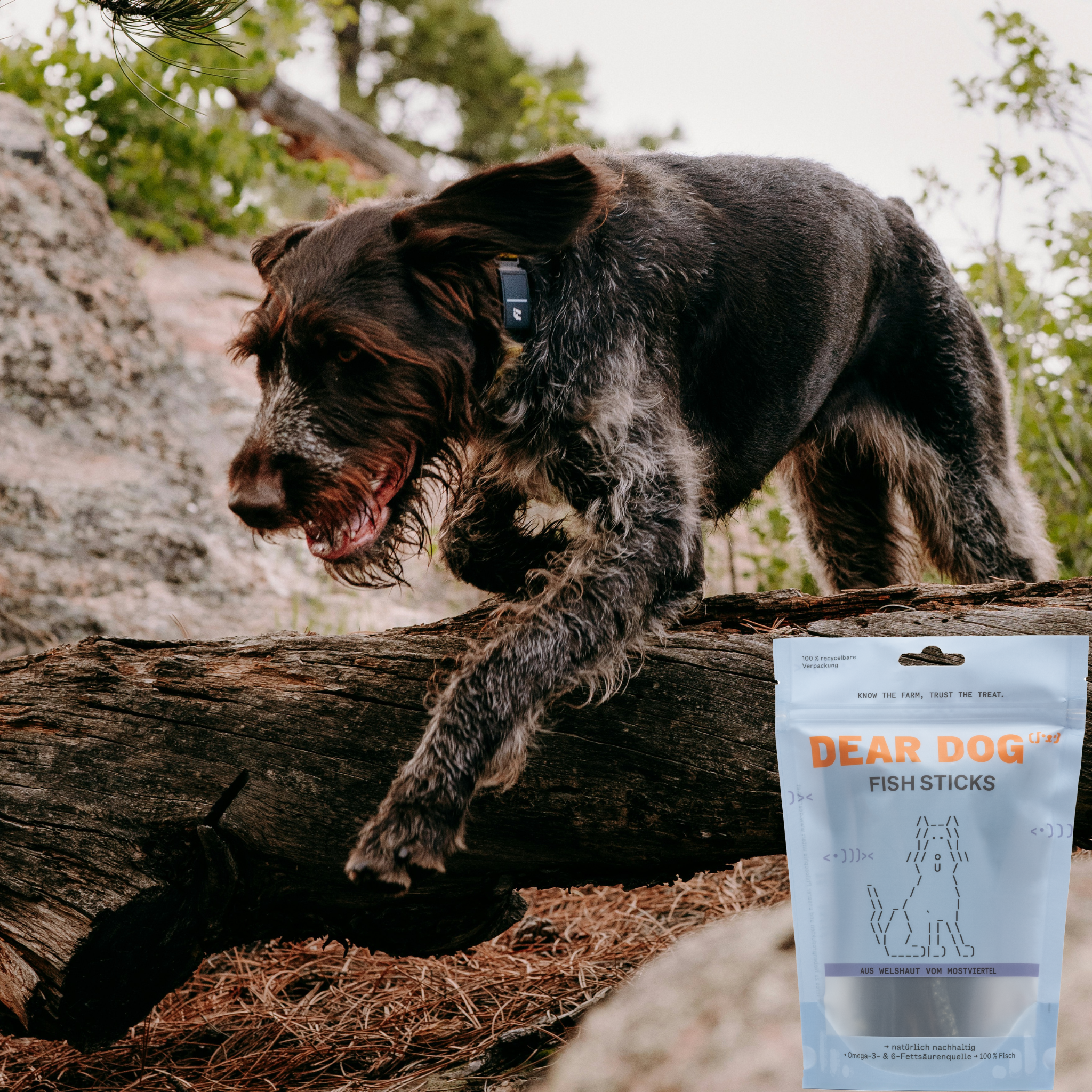 Hund in Natur mit Dear Dog Fish Sticks Bag im Vordergrund