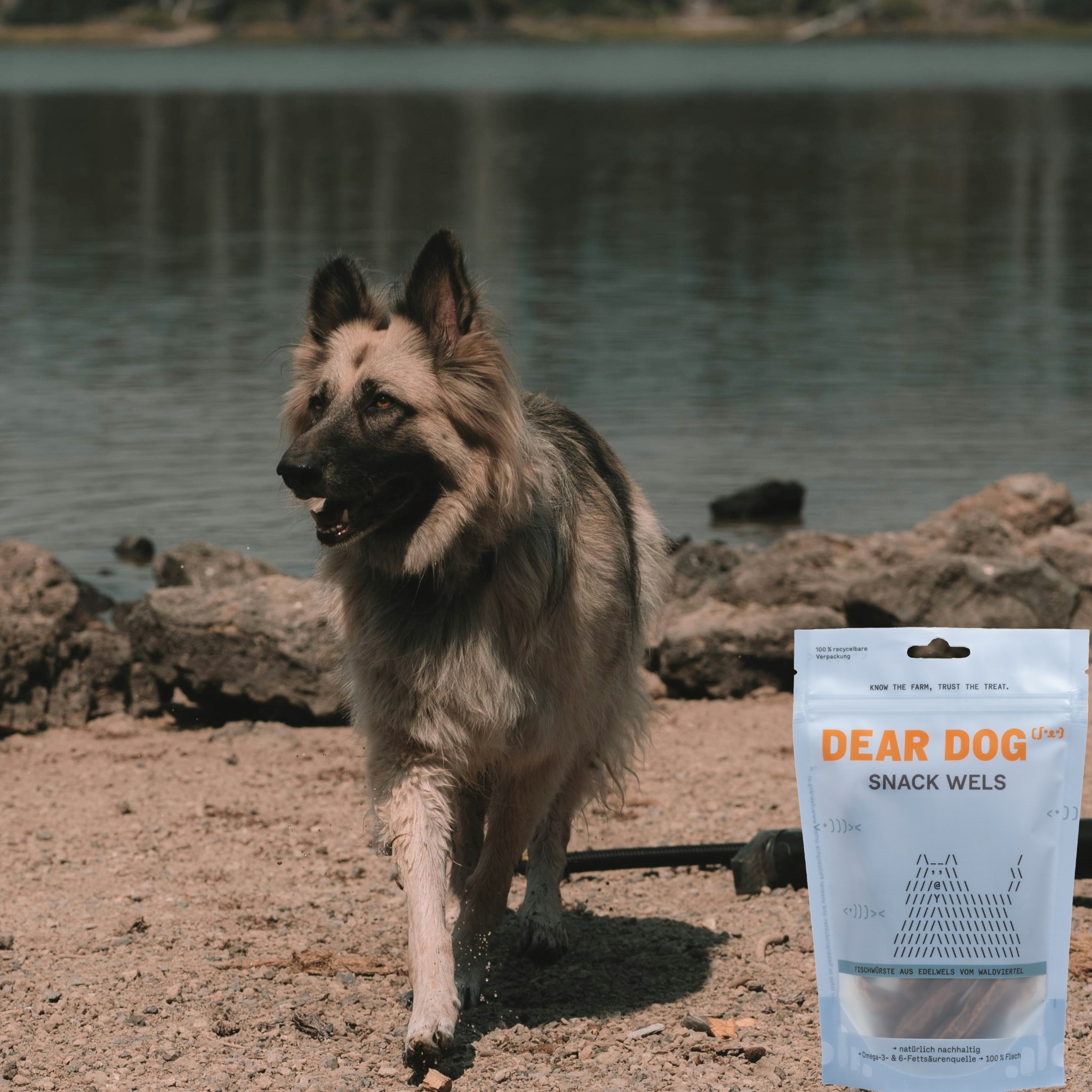 Snack Wels Set (20 pieces)